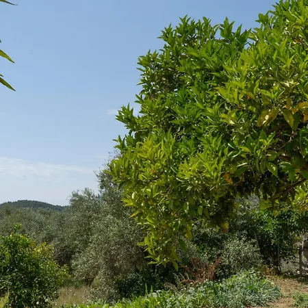 Koks' בית הארחה